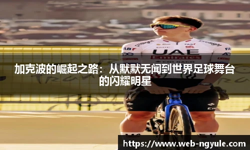 NG娱乐平台