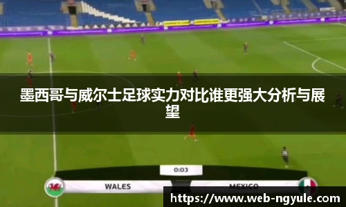 NG娱乐网址